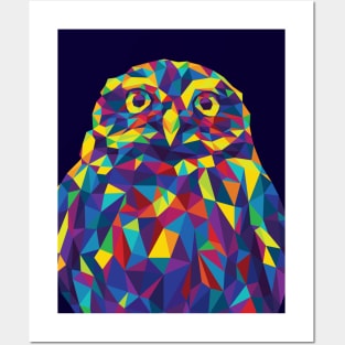 Rainbow Geometric Owl Posters and Art